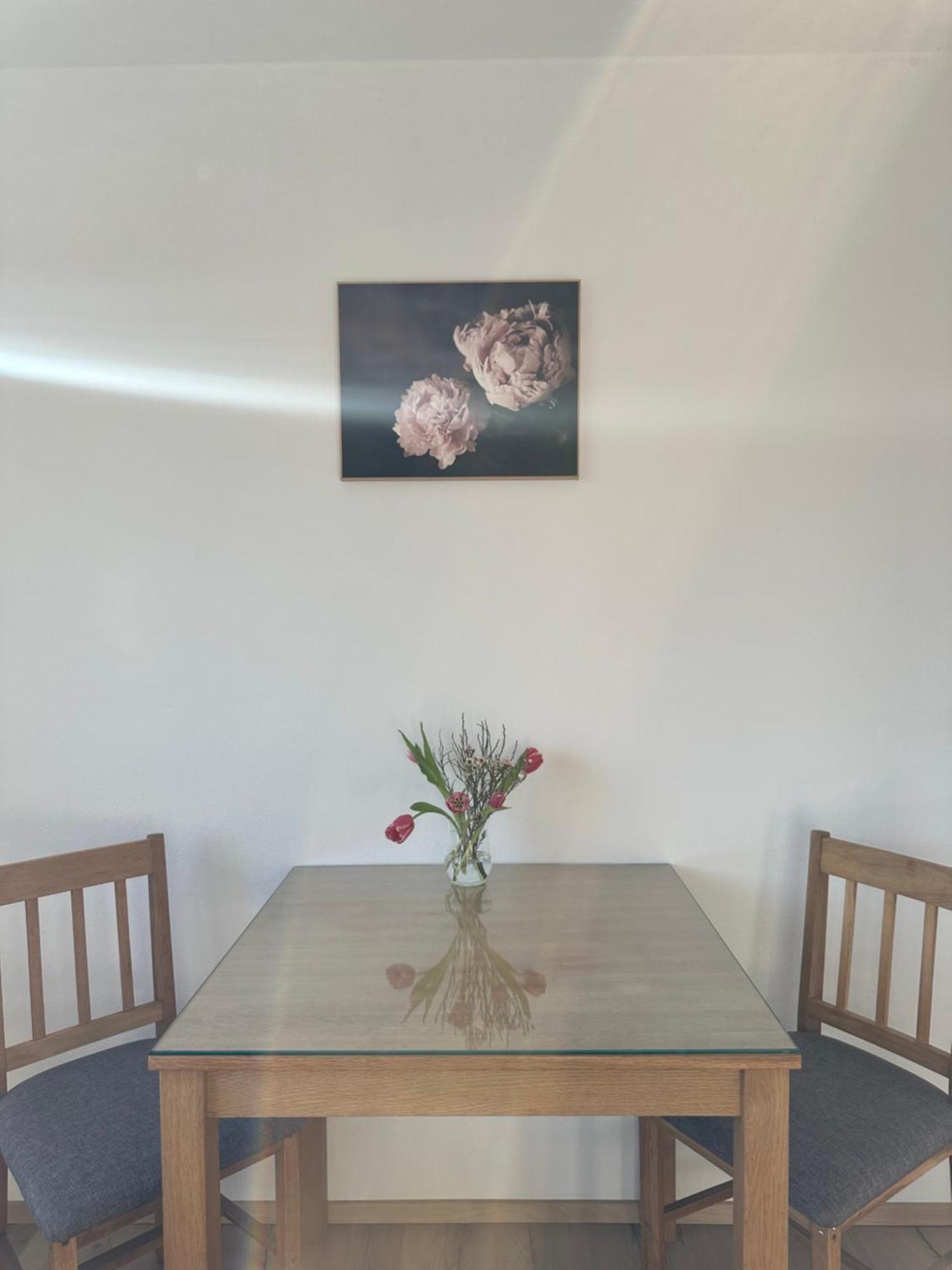 לובליאנה Vanessa Apartment מראה חיצוני תמונה